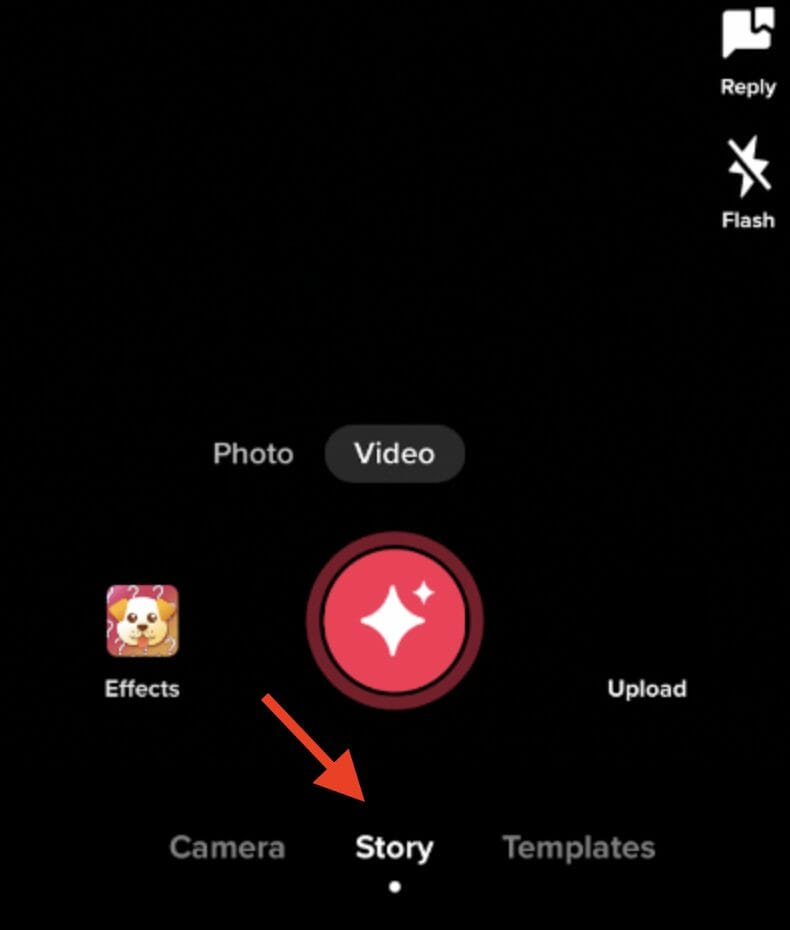 Swipe across the bottom bar to select the “Stories” option